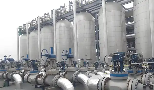 Large-scale PSA (Pressure Swing Adsorption) units ‌have been shipped‌ to Brunei.