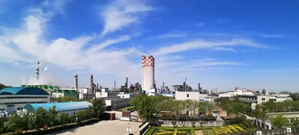 ‌Equipment for Urea & Synthetic Ammonia Projects